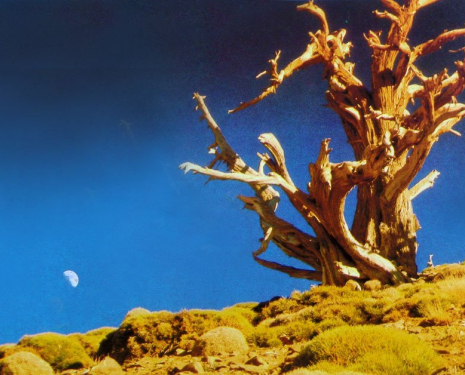 &copy; &copy; panoramio / Patrick Flament, http://www.panoramio.com/user/11971