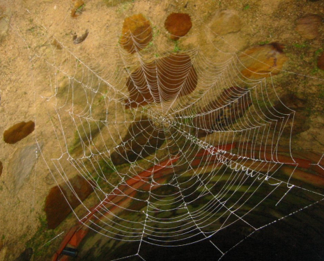 &copy; &copy; panoramio / Juanlu Gonzalez, http://www.panoramio.com/user/473