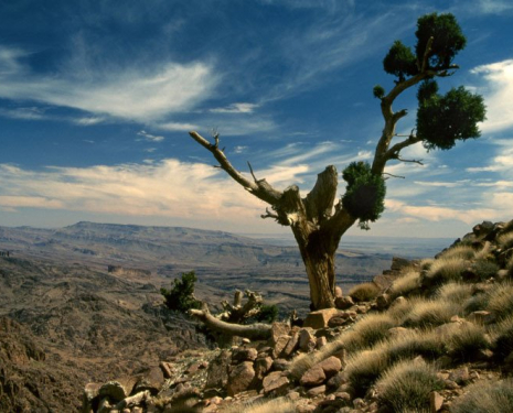 &copy; &copy; panoramio / Philippe Stoop, http://www.panoramio.com/user/78506