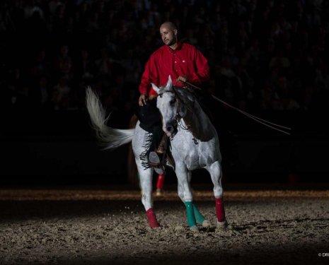 &copy; &copy; Salon du Cheval / Association du Salon du Cheval