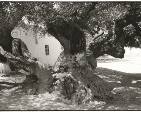 &copy; &copy; panoramio / Boumlik M., http://www.panoramio.com/user/1341563