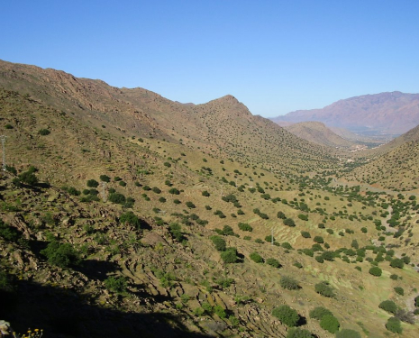 &copy; &copy; panoramio / elakramine, http://www.panoramio.com/user/831427