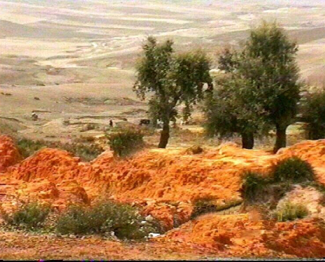 &copy; &copy; panoramio / Erika R., http://www.panoramio.com/user/268771