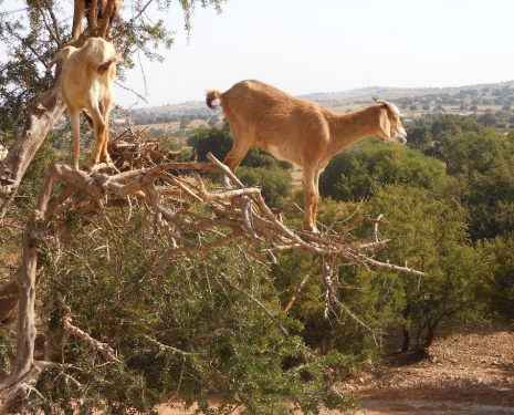 &copy; &copy; panoramio / Vlinder, http://www.panoramio.com/user/4961503