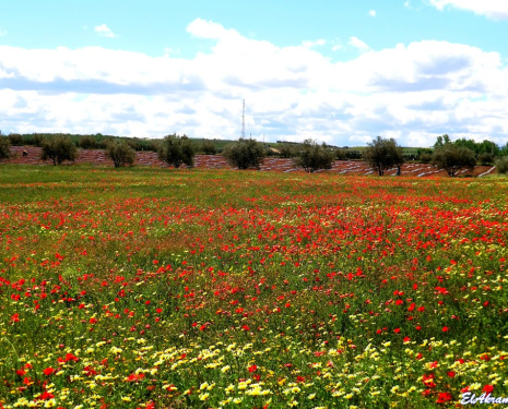 &copy; &copy; panoramio / elakramine, http://www.panoramio.com/user/831427