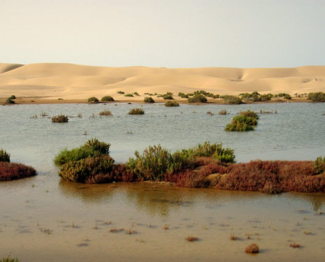 &copy; &copy; panoramio / Miguel Jaramillo, http://www.panoramio.com/user/1547114