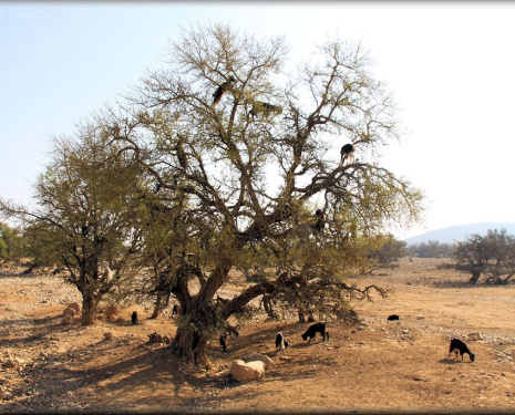 &copy; &copy; panoramio / ©polytropos, http://www.panoramio.com/user/162722