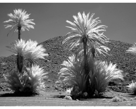 &copy; &copy; panoramio / Lutz Mager, http://www.panoramio.com/user/99471