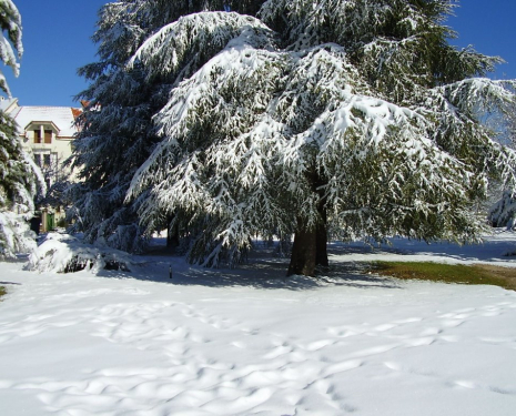 &copy; &copy; panoramio / elakramine, http://www.panoramio.com/user/831427