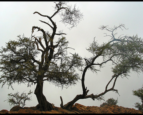 &copy; &copy; panoramio / Benoitdel, http://www.panoramio.com/user/4625922