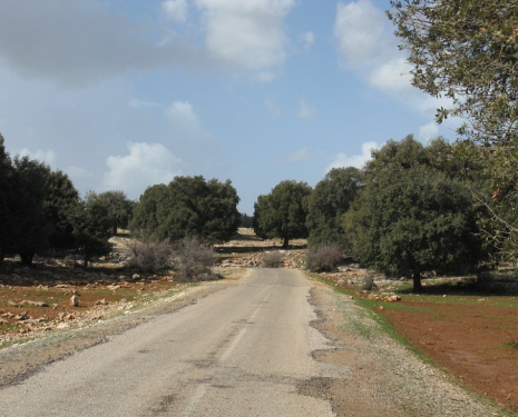 &copy; &copy; panoramio / elakramine, http://www.panoramio.com/user/831427