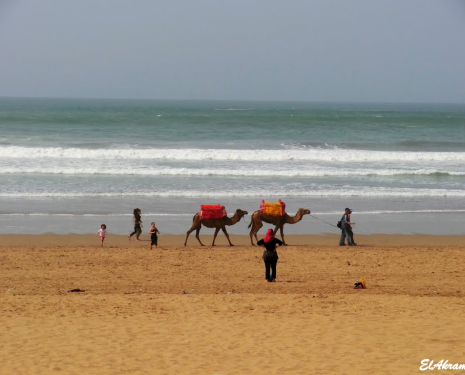 &copy; &copy; panoramio / elakramine, http://www.panoramio.com/user/831427