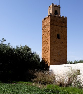 &copy; &copy; discoveringtaourirt.com / Discovering Berkane, Agence de l'Oriental / Discovering Oujda, Agence de l'Oriental