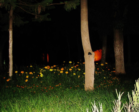 &copy; &copy; oriental.ma / Agence de l'Oriental / L'agence de l'Oriental