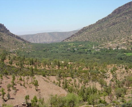 &copy; &copy; panoramio / Ben de Graaf Bierbrauwer, http://www.panoramio.com/user/1138231