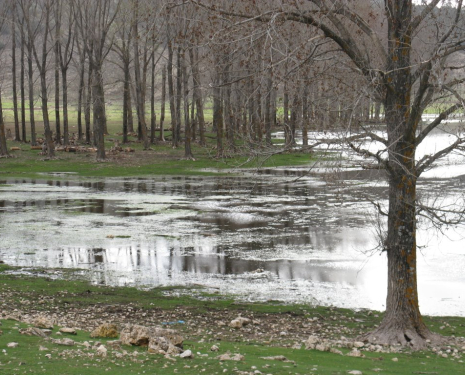 &copy; &copy; panoramio / elakramine, http://www.panoramio.com/user/831427