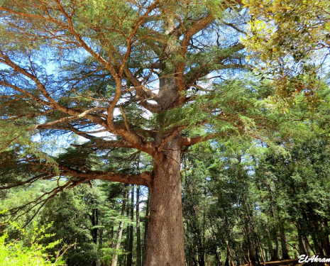 &copy; &copy; panoramio / elakramine, http://www.panoramio.com/user/831427