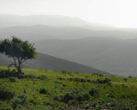 &copy; &copy; panoramio / @mabut, http://www.panoramio.com/user/232099