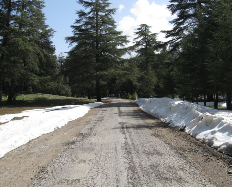 &copy; &copy; panoramio / elakramine, http://www.panoramio.com/user/831427