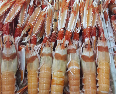 Nador, Restaurant Abbas - Maison de Poisson et Fruits de Mer, Google Place 