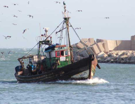 Grogne des professionnels de la pêche côtière, Abdelfattah Aberbri, Le Matin