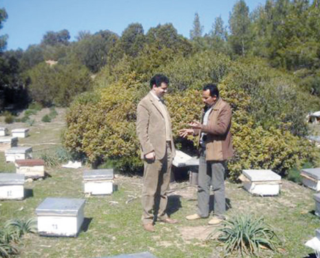 À la recherche d’un nouveau souffle pour l’apiculture, Rachida Bami, Le Matin