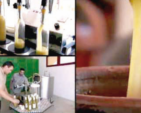 La concurrence sur l’huile d’olive s’accentue, Rachida Bami, Le Matin