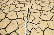 ​Ouverture à Rabat d'une Conférence nationale sur les changements climatiques, Alain Bouithy, Libération