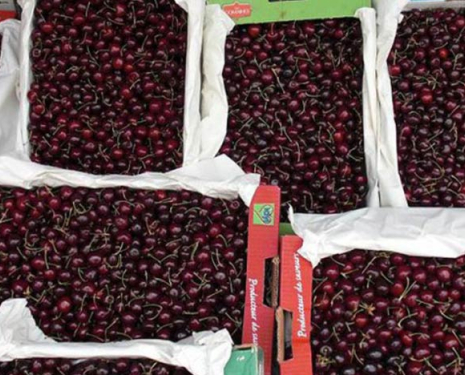 La 95éme édition du Festival des cerises, du 4 au 7 juin prochain