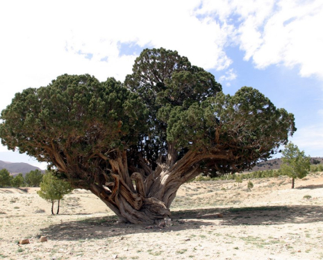 © &copy; panoramio / Valentín Enrique, http://www.panoramio.com/user/1082258