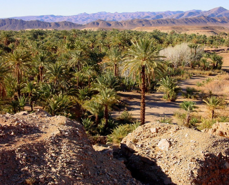 © &copy; panoramio / Peter Connolly, http://www.panoramio.com/user/174913