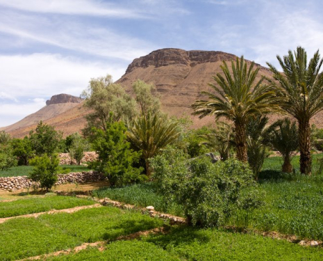 © &copy; panoramio / yves75, http://www.panoramio.com/user/263092