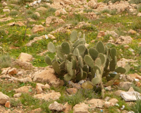 © &copy; panoramio / SambaSamba