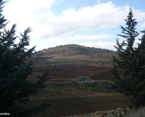 © &copy; panoramio / SambaSamba