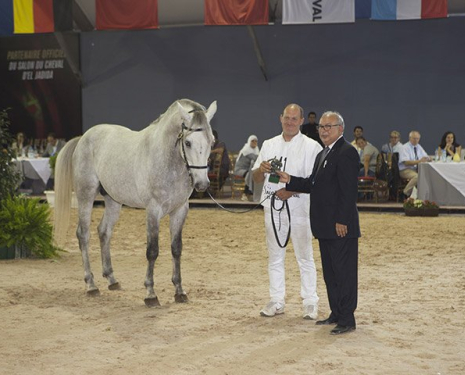 © &copy; Salon du Cheval / Association du Salon du Cheval