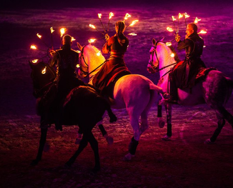 © &copy; Salon du Cheval / Association du Salon du Cheval