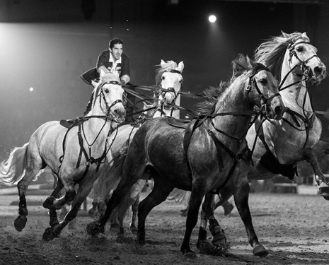 © &copy; Salon du Cheval / Association du Salon du Cheval