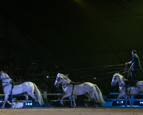 © &copy; Salon du Cheval / Association du Salon du Cheval