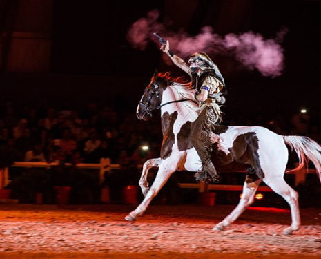 © &copy; Salon du Cheval / Association du Salon du Cheval