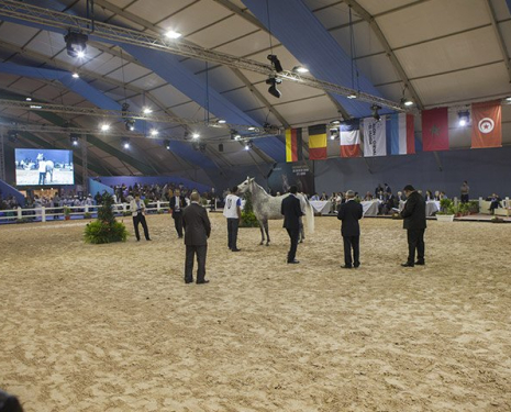 © &copy; Salon du Cheval / Association du Salon du Cheval