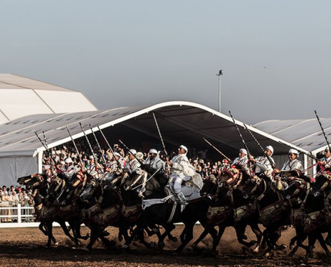© &copy; Salon du Cheval / Association du Salon du Cheval