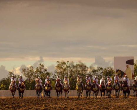 © &copy; Salon du Cheval / Association du Salon du Cheval