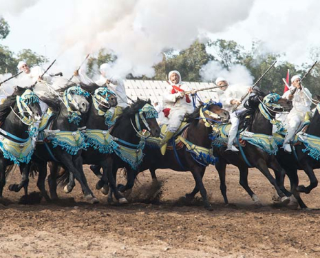 © &copy; Salon du Cheval / Association du Salon du Cheval