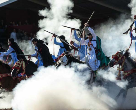 © &copy; Salon du Cheval / Association du Salon du Cheval
