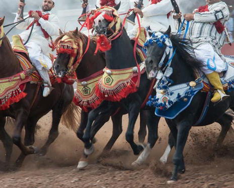 © &copy; Salon du Cheval / Association du Salon du Cheval