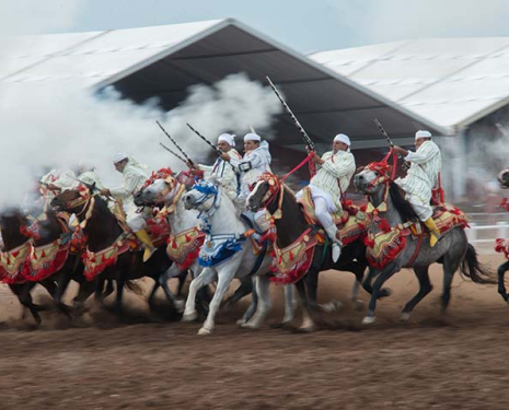 © &copy; Salon du Cheval / Association du Salon du Cheval