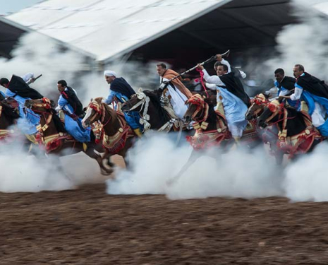 © &copy; Salon du Cheval / Association du Salon du Cheval
