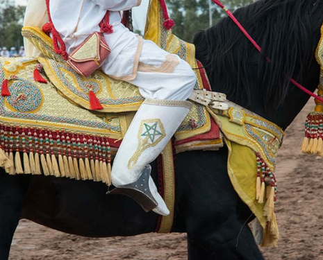 © &copy; Salon du Cheval / Association du Salon du Cheval