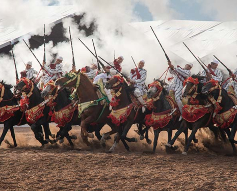 © &copy; Salon du Cheval / Association du Salon du Cheval