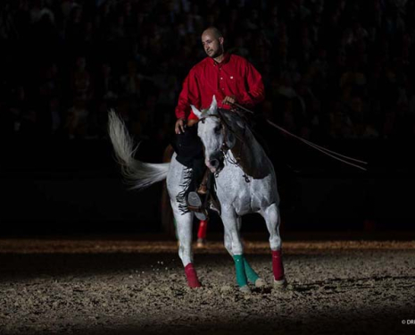 © &copy; Salon du Cheval / Association du Salon du Cheval